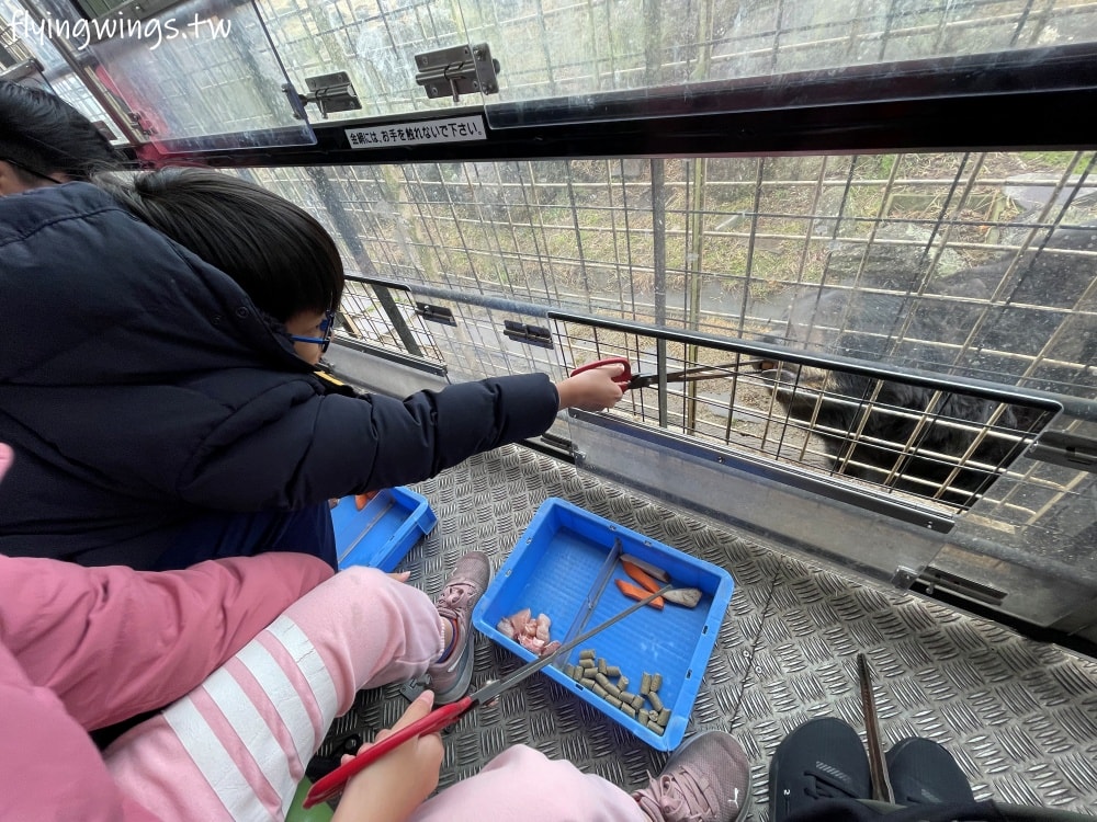 2024北九州自由行。九州自然動物公園。親手餵食肉食性動物，近距離接觸這實在太酷了!!