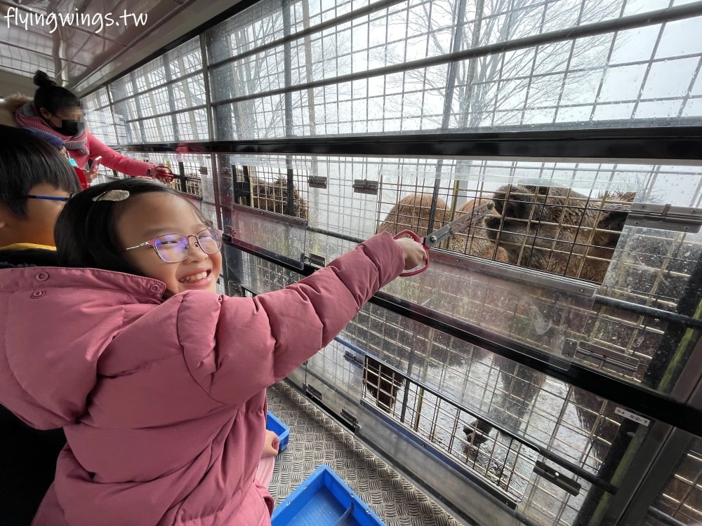 2024北九州自由行。九州自然動物公園。親手餵食肉食性動物，近距離接觸這實在太酷了!!