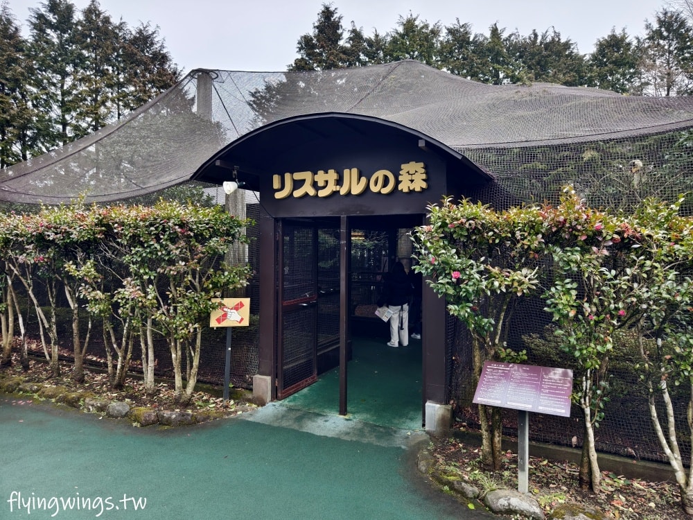 2024北九州自由行。九州自然動物公園。親手餵食肉食性動物，近距離接觸這實在太酷了!!