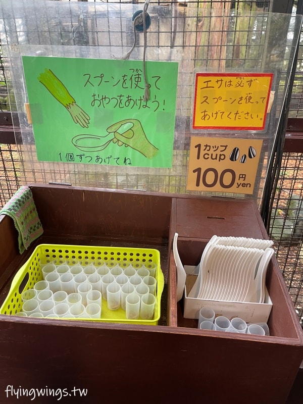 2024北九州自由行。九州自然動物公園。親手餵食肉食性動物，近距離接觸這實在太酷了!!