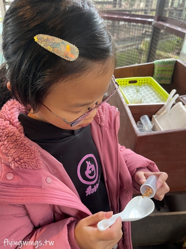 2024北九州自由行。九州自然動物公園。親手餵食肉食性動物，近距離接觸這實在太酷了!!