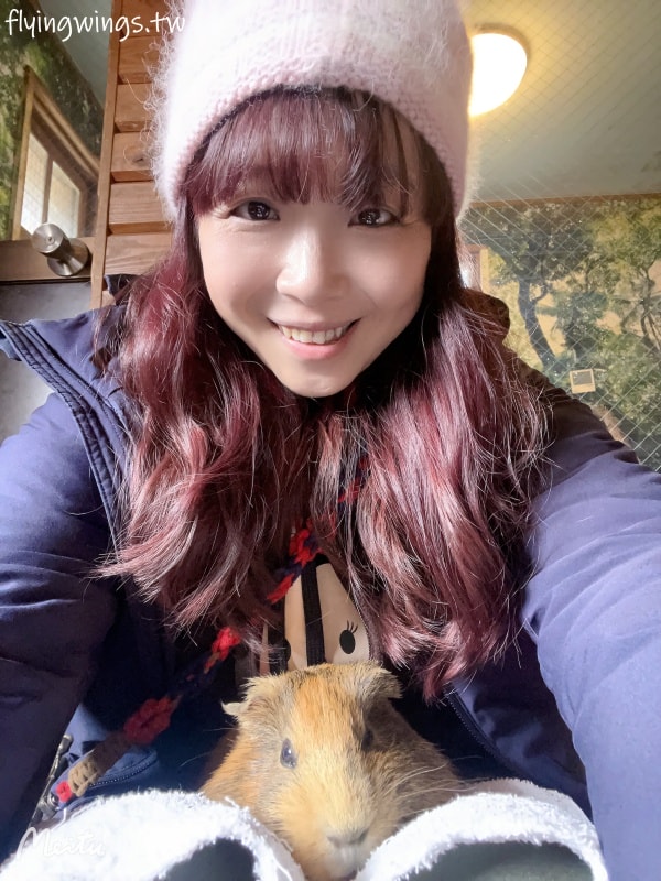 2024北九州自由行。九州自然動物公園。親手餵食肉食性動物，近距離接觸這實在太酷了!!