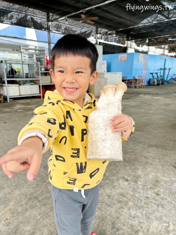 彰化福興┃樂採果溫室觀光農場。採果控窯，親子農場體驗，2025年設施更新、活動更新，更好玩了啦!
