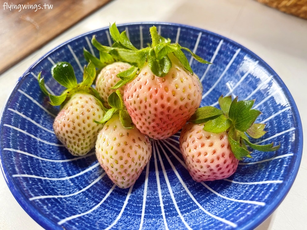 大湖草莓┃怡口軒安心莓。2025年2月最新果況，草莓又大又紅又甜，價格更是甜蜜蜜!!