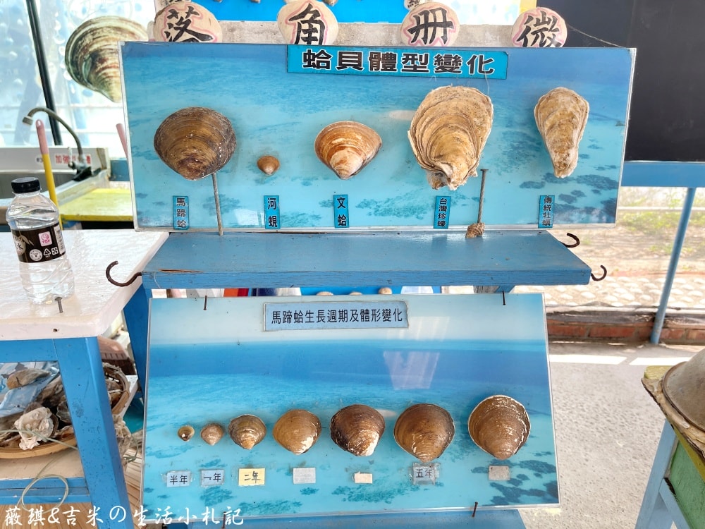雲林口湖┃馬蹄蛤主題館。150元可以玩整天，划竹筏、獨木舟、水上盪鞦韆、碰碰船隨你玩，還有新鮮馬蹄蛤等你來嘗鮮!!