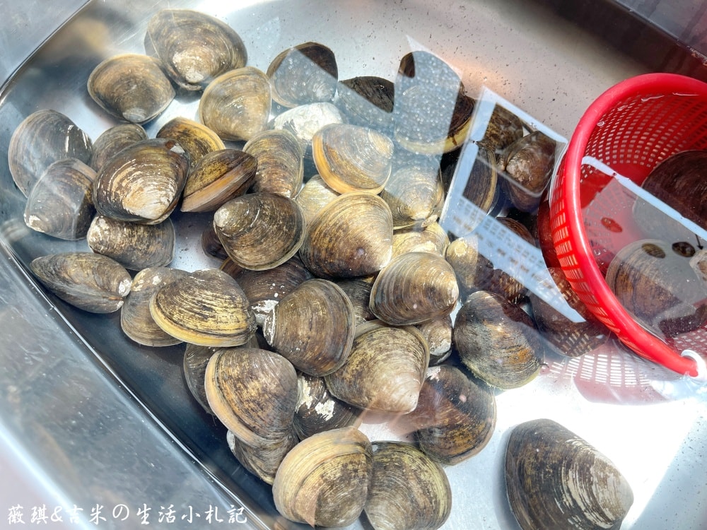 雲林口湖┃馬蹄蛤主題館。150元可以玩整天，划竹筏、獨木舟、水上盪鞦韆、碰碰船隨你玩，還有新鮮馬蹄蛤等你來嘗鮮!!