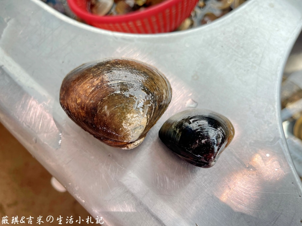 雲林口湖┃馬蹄蛤主題館。150元可以玩整天，划竹筏、獨木舟、水上盪鞦韆、碰碰船隨你玩，還有新鮮馬蹄蛤等你來嘗鮮!!