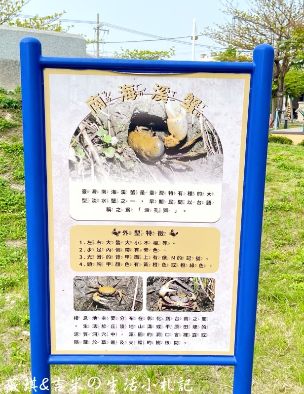 彰化花壇┃花壇口庄公園。螃蟹大碗公溜滑梯,原來這個公園有陸蟹!! - 第10張圖 彰化花壇┃花壇口庄公園。螃蟹大碗公溜滑梯,原來這個公園有陸蟹!!