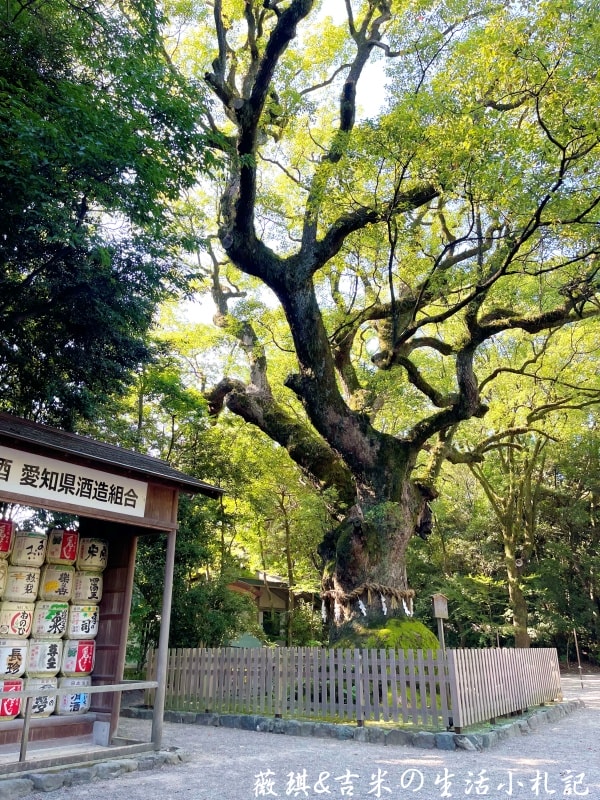 2023名古屋之旅。熱田神宮。超過1,900年的悠久歷史，是名古屋首屈一指的能量景點!