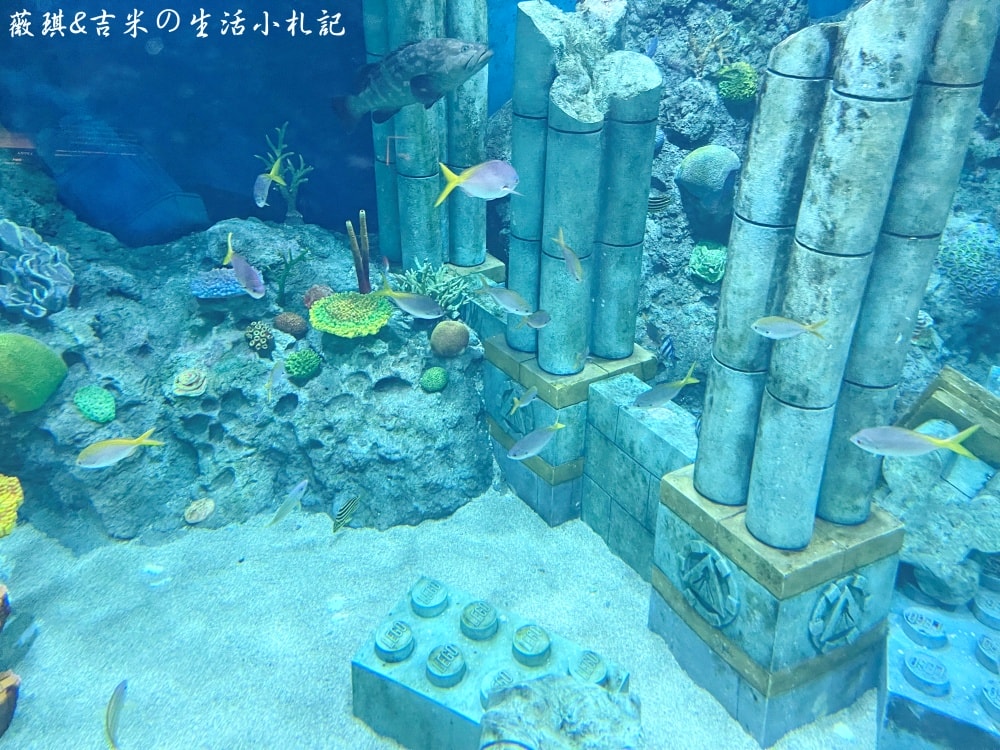 2023名古屋之旅。樂高樂園。總面積13公頃、超過40種設施,小孩玩到都不喊累!! - 第72張圖 2023名古屋之旅。樂高樂園。總面積13公頃、超過40種設施,小孩玩到都不喊累!!