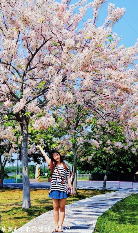 彰化社頭┃DoReMi音樂城堡。充滿音符的公園，周邊步道繽紛色彩，還有季節限定的花旗木可觀賞喔!