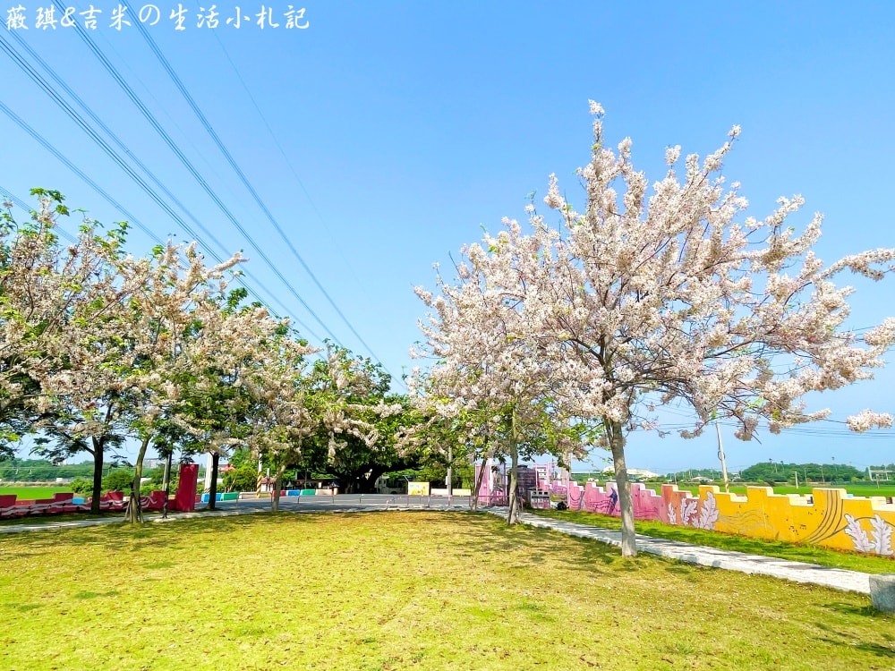 彰化社頭┃DoReMi音樂城堡。充滿音符的公園，周邊步道繽紛色彩，還有季節限定的花旗木可觀賞喔!