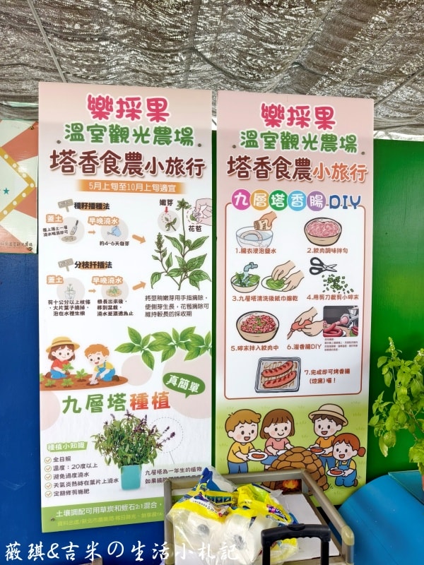 彰化福興┃樂採果溫室觀光農場。夏天2.0版更好玩! 划小船、會下雨的戲水池，還有全台首創DIY九層塔香腸!!