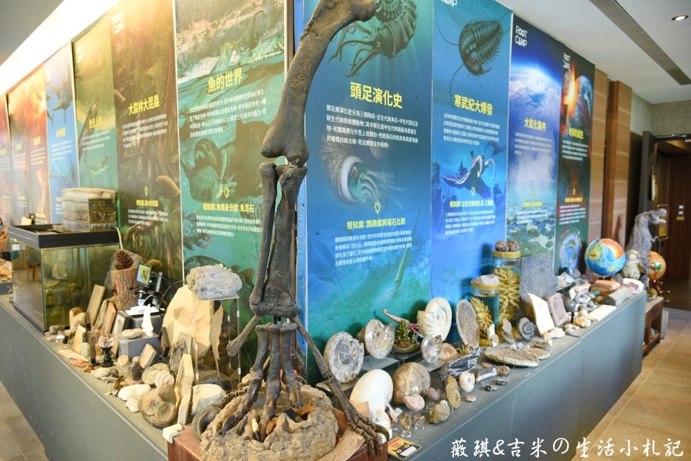 新北三峽┃大板根森林溫泉酒店。讓人身心放鬆的世外桃源,25坪大的觀景溫泉家庭套房、露天溫泉SPA、親子劇場、美食饗宴一應俱全! - 第57張圖 新北三峽┃大板根森林溫泉酒店。讓人身心放鬆的世外桃源,25坪大的觀景溫泉家庭套房、露天溫泉SPA、親子劇場、美食饗宴一應俱全!