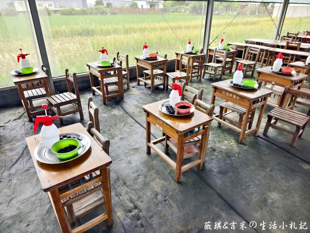 彰化福興┃樂採果溫室觀光農場。夏天2.0版更好玩! 划小船、會下雨的戲水池，還有全台首創DIY九層塔香腸!!