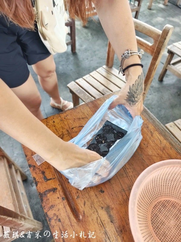 彰化福興┃樂採果溫室觀光農場。夏天2.0版更好玩! 划小船、會下雨的戲水池，還有全台首創DIY九層塔香腸!!