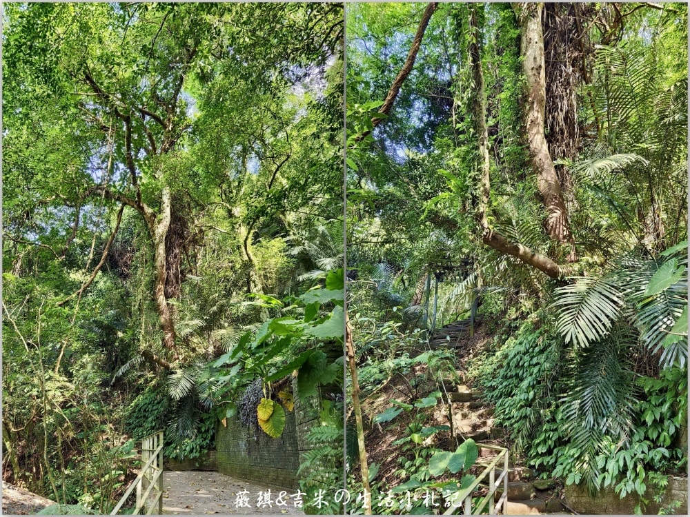 新北三峽┃大板根森林溫泉酒店。讓人身心放鬆的世外桃源,25坪大的觀景溫泉家庭套房、露天溫泉SPA、親子劇場、美食饗宴一應俱全! - 第115張圖 新北三峽┃大板根森林溫泉酒店。讓人身心放鬆的世外桃源,25坪大的觀景溫泉家庭套房、露天溫泉SPA、親子劇場、美食饗宴一應俱全!