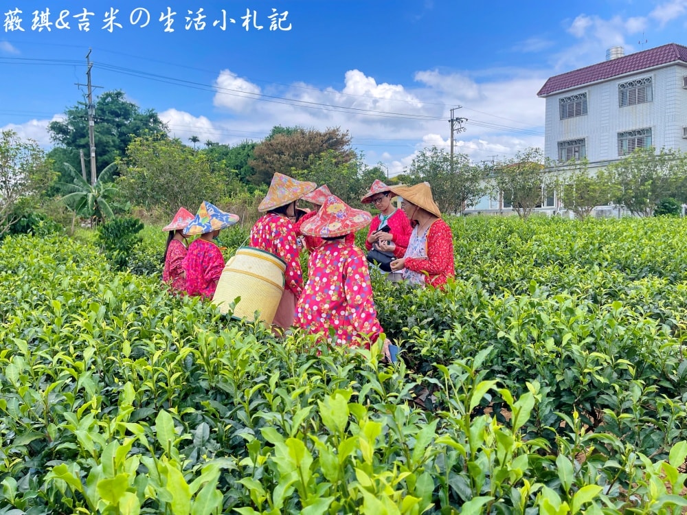 名間包棟民宿┃松林茶坊。包棟民宿好選擇，還可以參加採茶體驗喔!