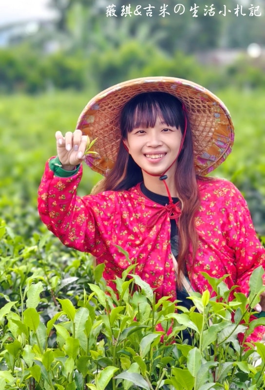 名間包棟民宿┃松林茶坊。包棟民宿好選擇，還可以參加採茶體驗喔!
