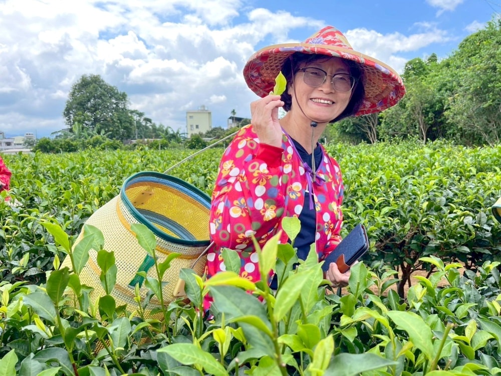 名間包棟民宿┃松林茶坊。包棟民宿好選擇，還可以參加採茶體驗喔!