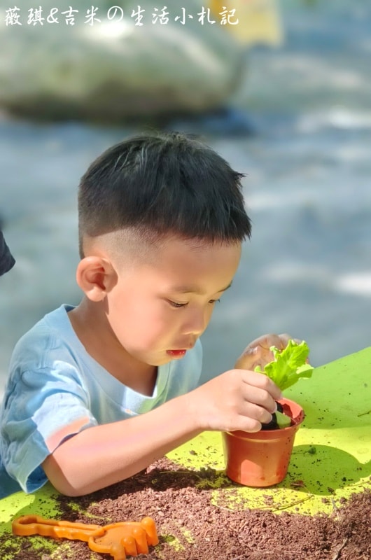 彰化溪湖┃沐卉親子農場。滾輪溜滑梯、手搖船、水滑梯、攀樹，這邊通通滿足你!!(2025/9最新版)