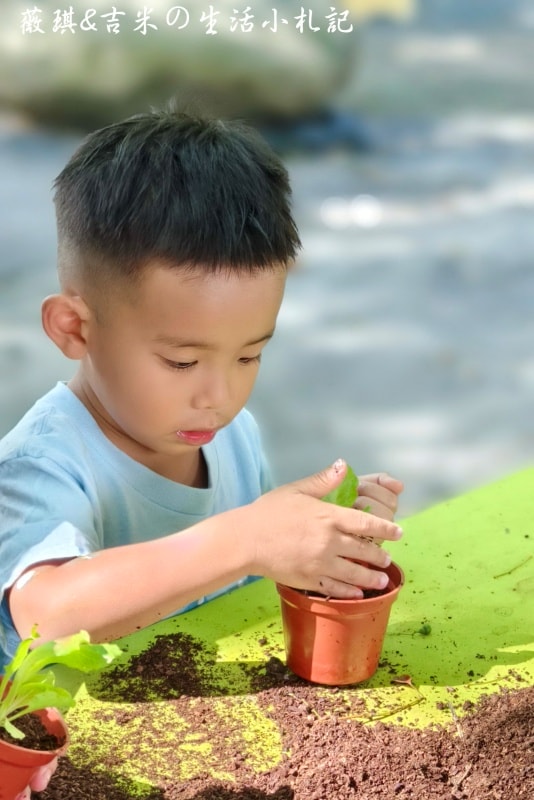 彰化溪湖┃沐卉親子農場。滾輪溜滑梯、手搖船、水滑梯、攀樹，這邊通通滿足你!!(2025/9最新版)