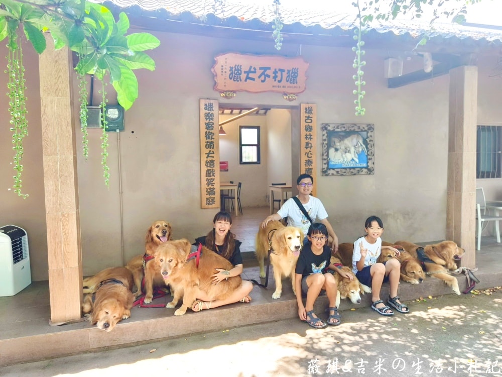 苗栗西湖┃獵犬不打獵鄉林小食光。想嚕狗勾，這邊有九隻大金毛等你來喔!