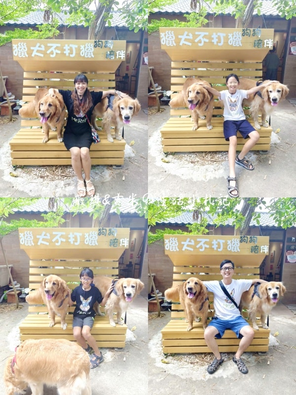 苗栗西湖┃獵犬不打獵鄉林小食光。想嚕狗勾，這邊有九隻大金毛等你來喔!