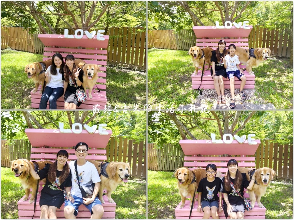 苗栗西湖┃獵犬不打獵鄉林小食光。想嚕狗勾，這邊有九隻大金毛等你來喔!