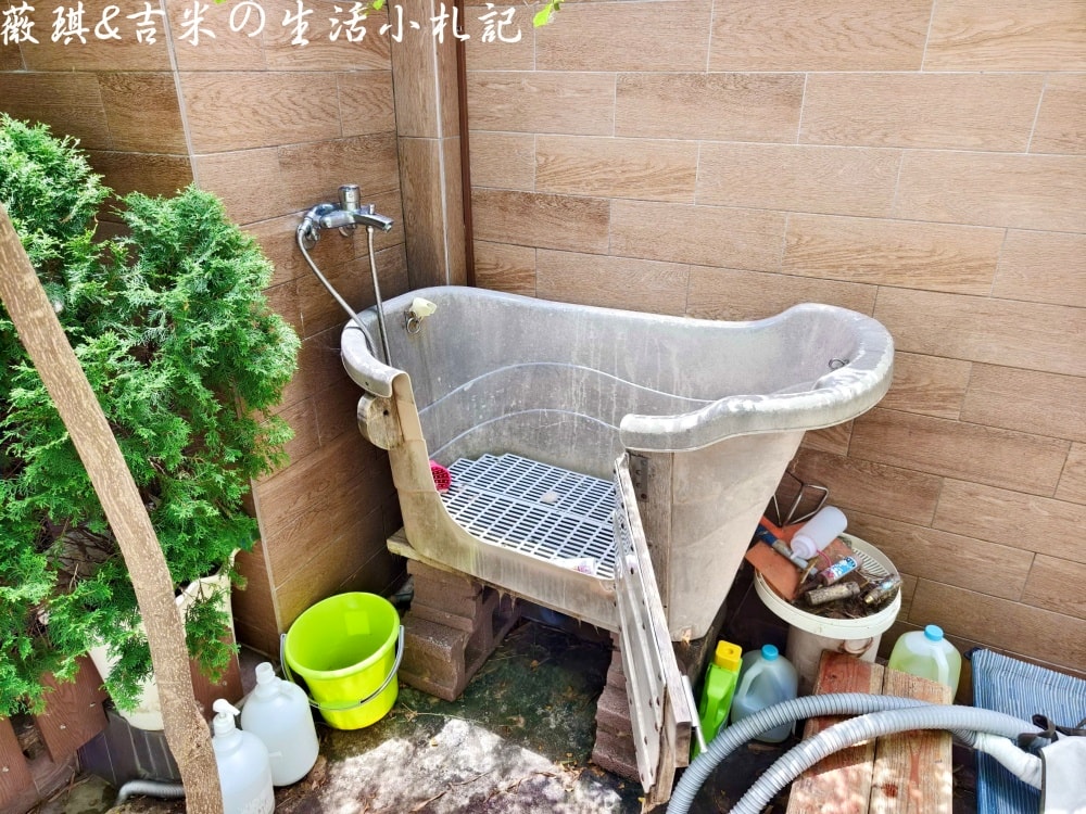苗栗西湖┃獵犬不打獵鄉林小食光。想嚕狗勾，這邊有九隻大金毛等你來喔!